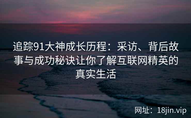 追踪91大神成长历程：采访、背后故事与成功秘诀让你了解互联网精英的真实生活